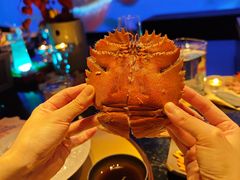 -地球美食剧场