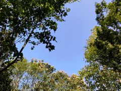 -吴淞炮台湾湿地森林公园烧烤区