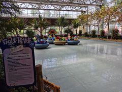 -南宫五洲植物乐园