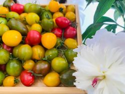 -慈蕊美容养生·专业经络调理