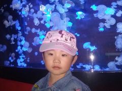 -烟台海昌鲸鲨海洋公园