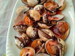 -普陀山风景名胜区-法雨禅寺