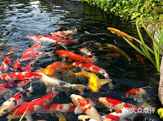 长沙正宗湘菜，好吃到舔碗