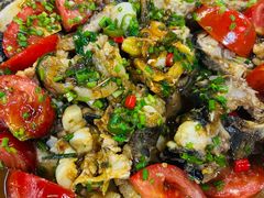 -遇龙河大樟树农家乐