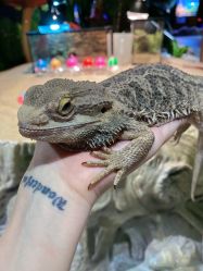 -酷嗒动物文化乐园(cutezoo西溪乐天城店)