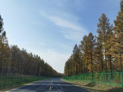 -塞罕坝国家级自然保护区