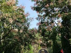 -龙口南山旅游景区