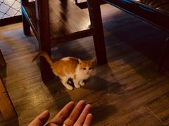 -后院儿·精酿·塔罗Happy Bar