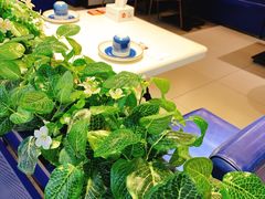 -鱼酷活鱼烤鱼(人信汇商场店)
