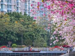 -文华公园(禅城区)