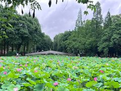 -西南交通大学(九里校区)