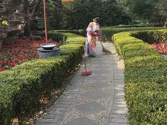 -白家大院·王府宫廷菜(苏州街店)