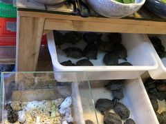 -双季花艺园艺市场(浦东店)