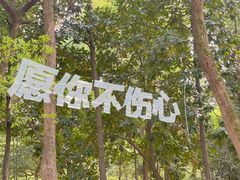 -杭州植物园