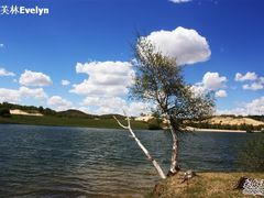 -塞罕坝国家级自然保护区