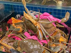 -辣螃铠盆盆蟹大排档(总店)