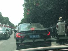 -大湾区中央湿地公园-十九涌