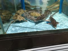 -阿伟海鲜楼·福建菜(延寿店)