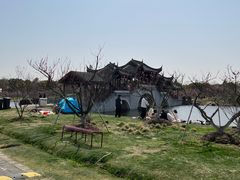 -上海海湾国家森林公园