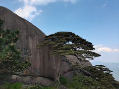 -黄山风景区