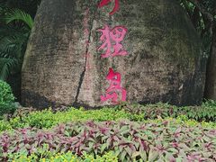 -野狸岛