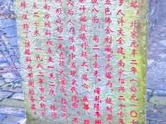 -上海佘山国家森林公园天马山园