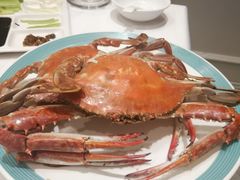 鲜活大螃蟹-北塘海鲜·天津菜(大光明桥旗舰店)