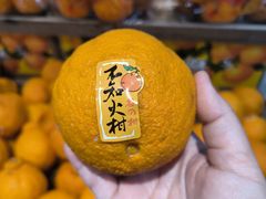 -果蔬好生活超市(乐堤港店)