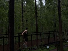 -黄海国家森林公园