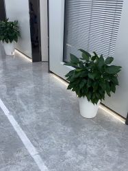 点击看大图 -悟空祛痘·诺奖技术专业店