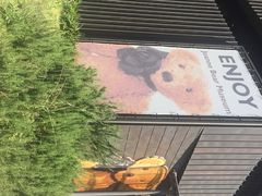 泰迪熊博物馆-济州岛泰迪熊博物馆