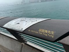 -星光大道