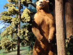 -陕西自然博物馆