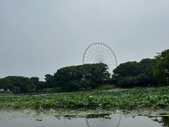 -蠡湖大桥公园