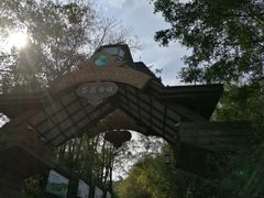 -东部华侨城