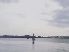 -海鸥岛