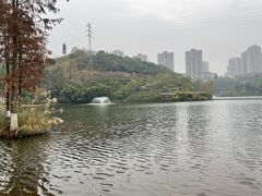 -重庆彩云湖湿地公园