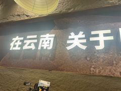 -滇牛云南火锅(桂林路店)