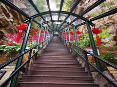 -京东石林峡风景区