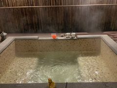 -春晖园度假酒店温泉