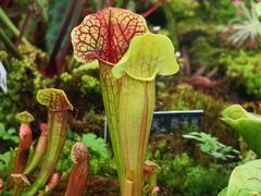 -国家植物园南园