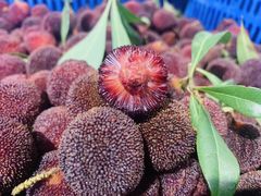 -水果地带(中航国际店)