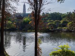 -顺峰山公园