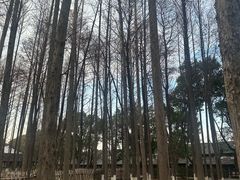 -乌镇东栅景区