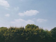 -九里河湿地公园