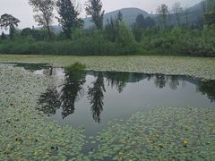 -田峪河公园