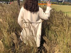 -映月湖中央公园