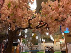 -汤泉良子(金源店)