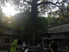 -青岛崂山太清宫