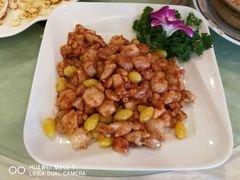 -丁老爷子苏香圆